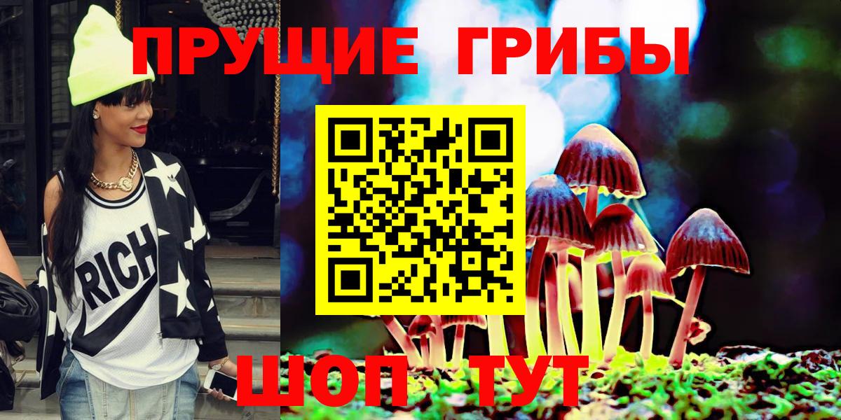 Псилоцибиновые грибы Psilocybine cubensis Воронеж