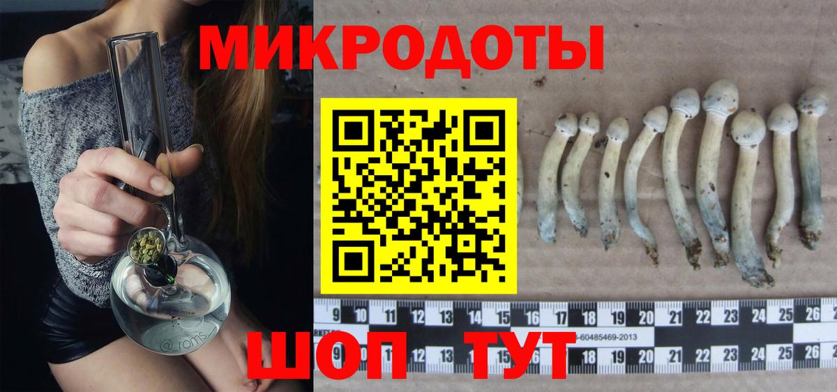 Галлюциногенные грибы прущие грибы  Псилоцибиновые грибы Cubensis  Вход с VPN  Воронеж 