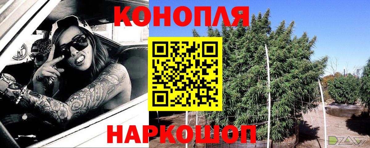 Бошки Шишки сатива  Вход с VPN  Канабис план  Шишки марихуана SATIVA & INDICA  Канабис THC 21%  Воронеж 